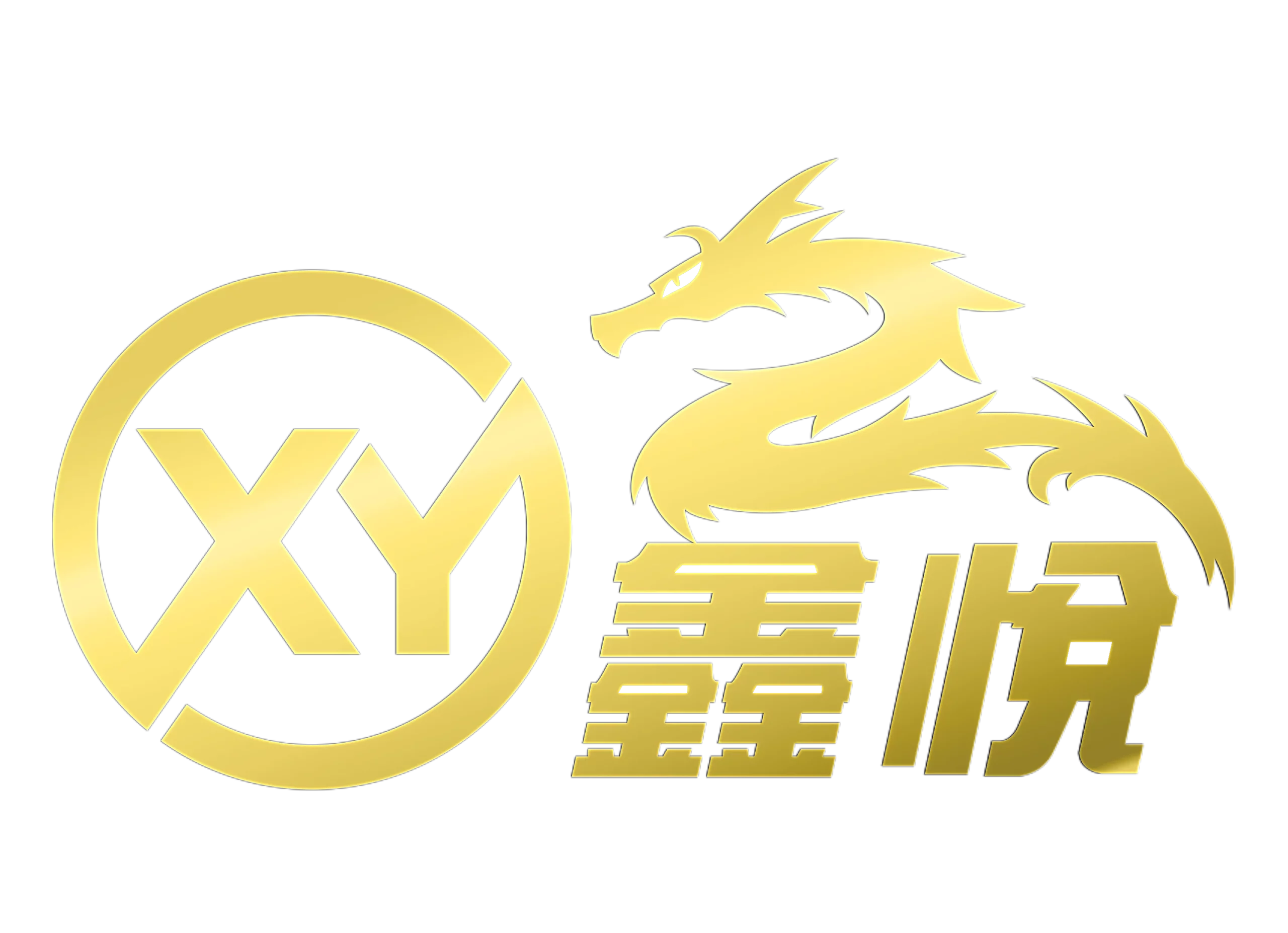 XY娛樂城logo